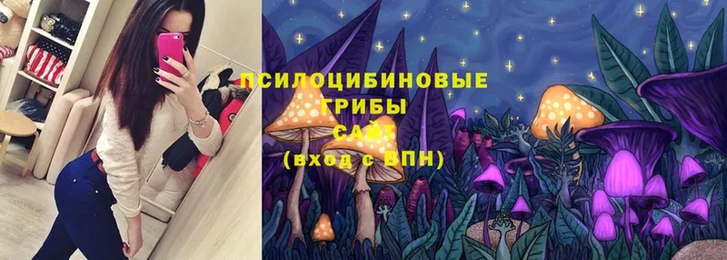 Галлюциногенные грибы Psilocybine cubensis  KRAKEN зеркало  Нариманов  как найти закладки 